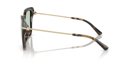 0MK2231U Green Solid Photochromic Dark Tortoise 725125523561