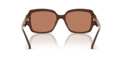 0MK2233B Nutmeg Solid Nutmeg 725125524131