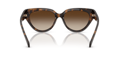 0MK2241U Smoke Gradient Dark Tortoise 725125531542