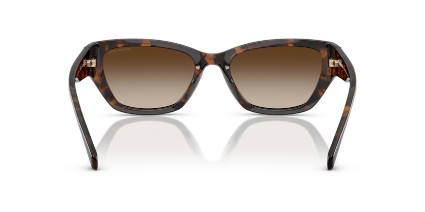 0MK2242D Smoke Gradient Dark Tortoise 725125530842