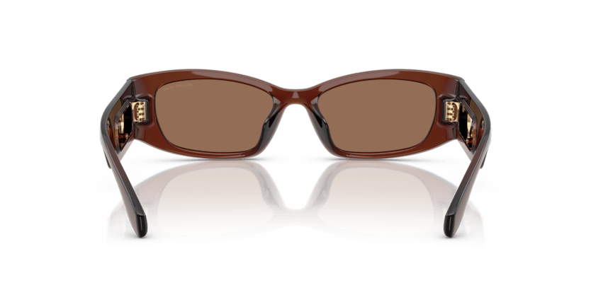 0MK2243U Brown Solid Brown Transparent 725125531498