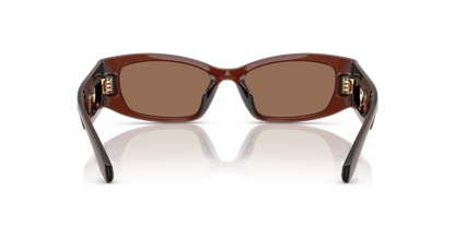 0MK2243U Brown Solid Brown Transparent 725125531498