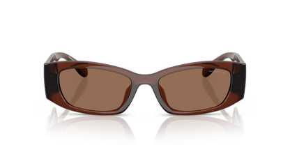 0MK2243U Brown Solid Brown Transparent 725125531498