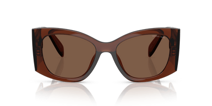 0MK2244U Brown Solid Brown Transparent 725125531504