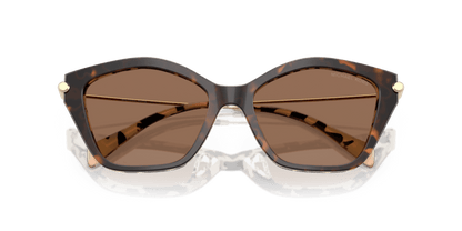 0MK2246U Brown Solid Dark/Cream Tortoise 725125532754
