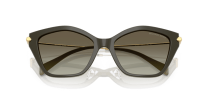 0MK2246U Olive Gradient Olive Smoke 725125532914