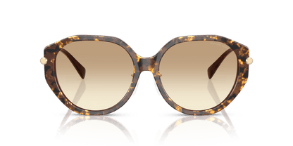 0MK2248D Brown Gradient Brown Pearlized Tortoise 725125532334