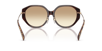 0MK2248D Brown Gradient Brown Pearlized Tortoise 725125532334