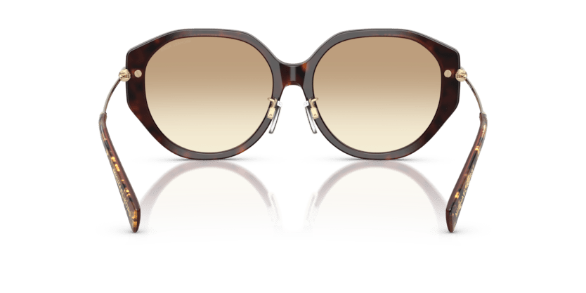 0MK2248D Brown Gradient Brown Pearlized Tortoise 725125532334