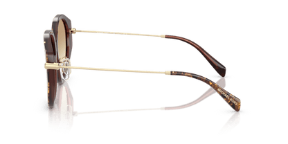 0MK2248D Brown Gradient Brown Pearlized Tortoise 725125532334