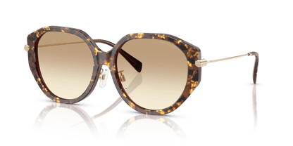 0MK2248D Brown Gradient Brown Pearlized Tortoise 725125532334