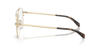 0MK3089 Demo Lens Light Gold Shiny 725125531597