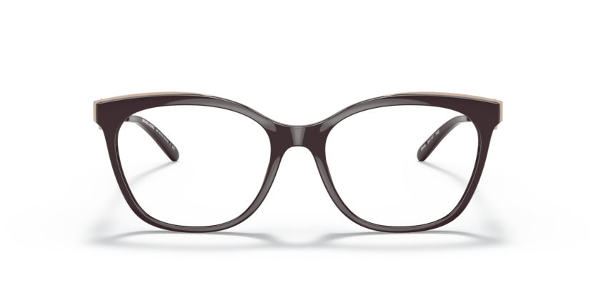 0MK4076U Demo Lens Brown 725125380430