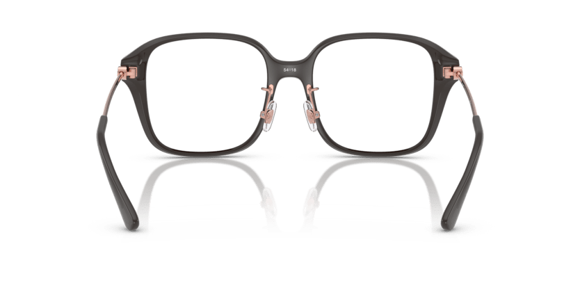 0MK4131D Demo Lens Ash 725125523462