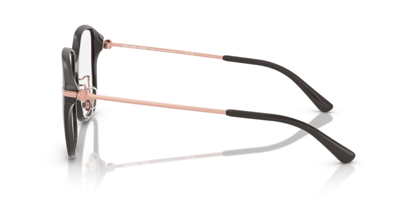 0MK4131D Demo Lens Ash 725125523462