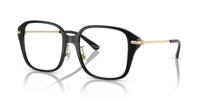 0MK4131D Demo Lens Black 725125523417