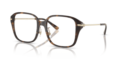 0MK4131D Demo Lens Dark Tortoise 725125523424