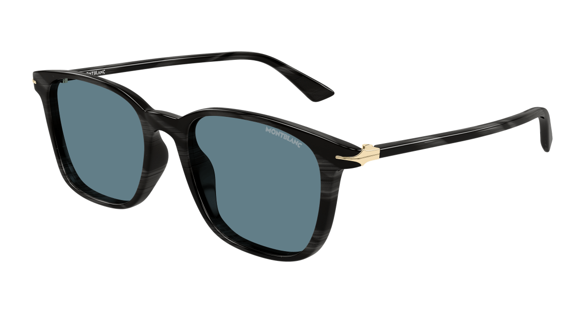Montblanc MB0338S Grey 889652642284