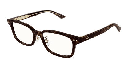 Montblanc MB0379OJ Havana 889652513249