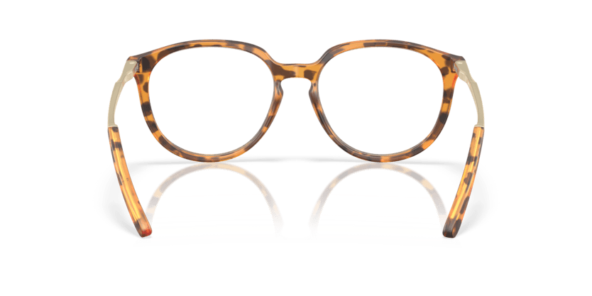 Matt Ginger Tortoise - 0OX8150 888392647375