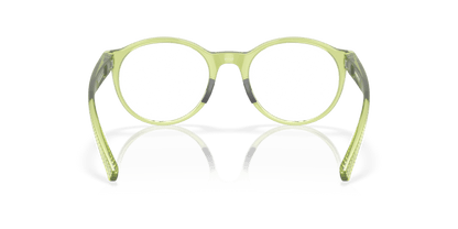 Polished Translucent Fern - 0OX8176 888392620156