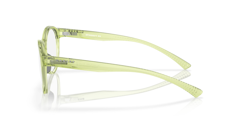 Polished Translucent Fern - 0OX8176 888392620156