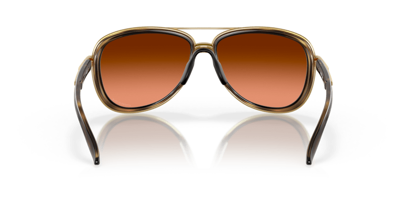 Brown Tortoise - 0OO4129 888392489494