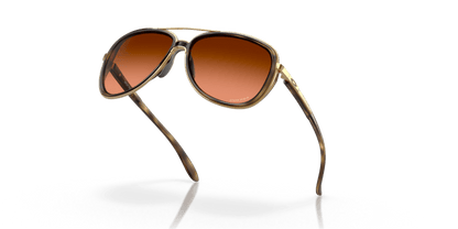 Brown Tortoise - 0OO4129 888392489494