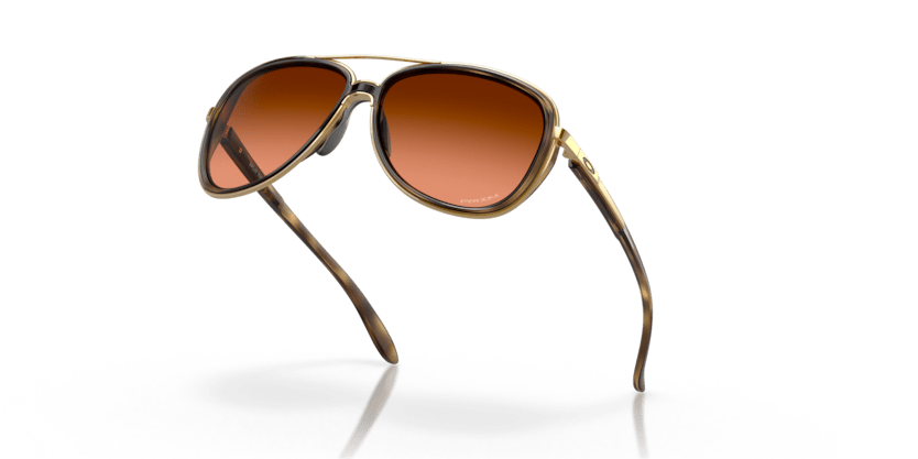 Brown Tortoise - 0OO4129 888392489494