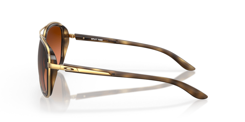 Brown Tortoise - 0OO4129 888392489494