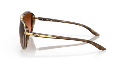 Brown Tortoise - 0OO4129 888392489494