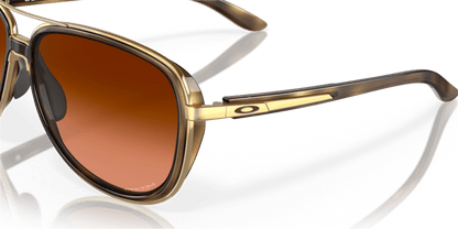 Brown Tortoise - 0OO4129 888392489494