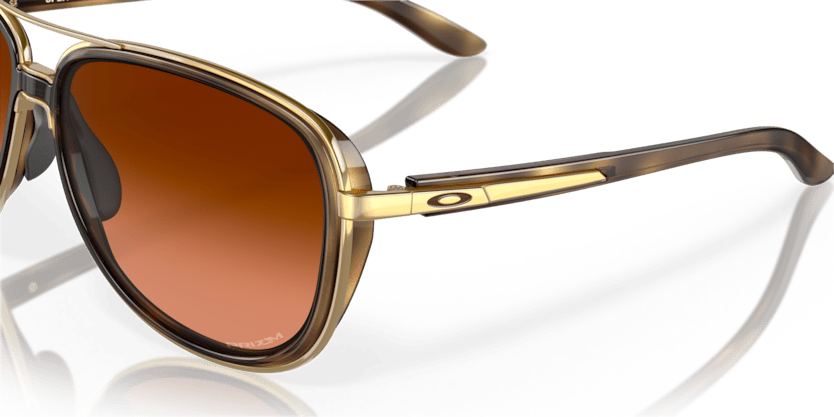 Brown Tortoise - 0OO4129 888392489494