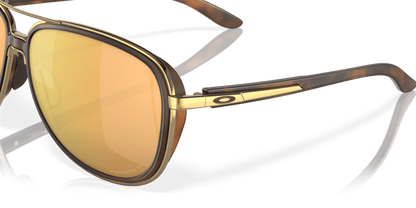 Brown Tortoise - 0OO4129 888392425607