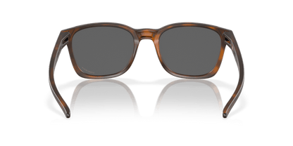 Matte Brown Tortoise - 0OO9018 7895653281189