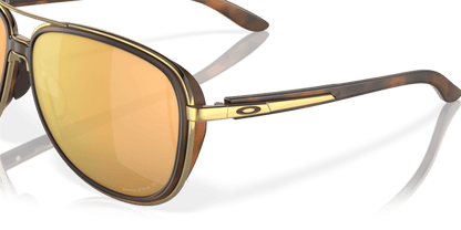 Brown Tortoise - 0OO4129 888392425607