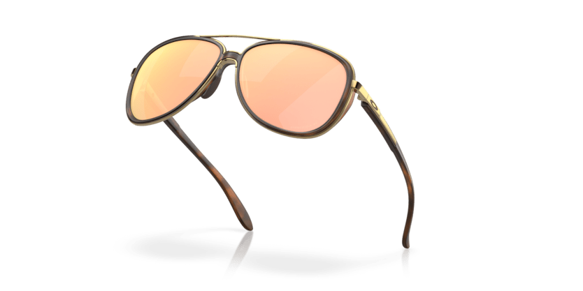 Brown Tortoise - 0OO4129 888392425607
