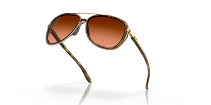 Brown Tortoise - 0OO4129 888392489494