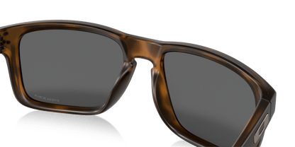Matte Brown Tortoise - 0OO9102 888392335920