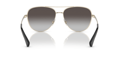 0RA4139 Gradient Grey Shiny Pale Gold 8056597699310