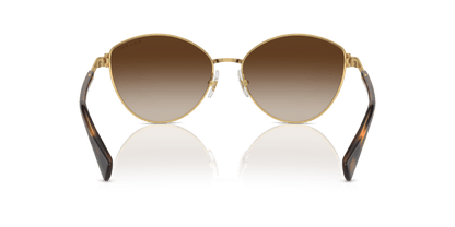 0RA4145 Gradient Brown Shiny Gold 8056262002742