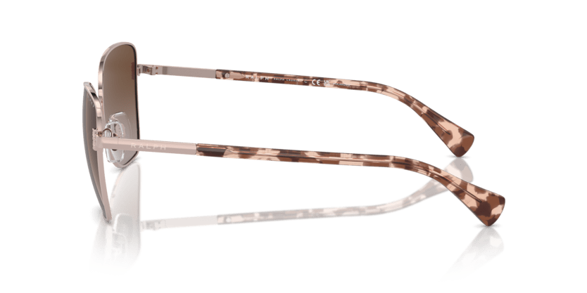 0RA4146 Polar Gradient Brown Shiny Rose Gold 8056262019504