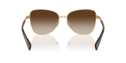 0RA4146 Gradient Brown Shiny Gold 8056262004265