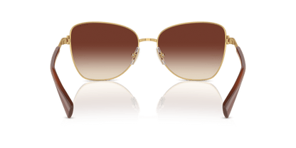 0RA4146 Gradient Brown Shiny Gold 8056262004296