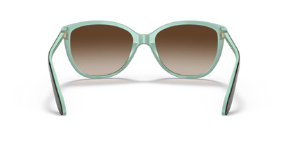 0RA5160 Gradient Brown Shiny Havana On Acquamarine 8056597620666