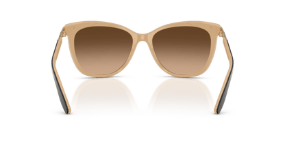 0RA5203 Gradient Brown Black 8053672398670