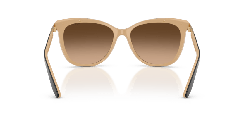 0RA5203 Gradient Brown Black 8053672398670