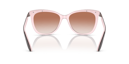 0RA5203 Gradient Brown Pink Havana 8056597812825