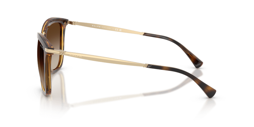 0RA5245 Gradient Brown Shiny Dark Havana 8053672902440