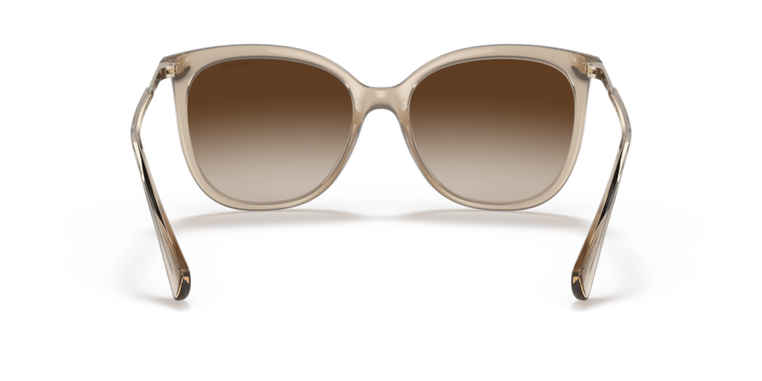 0RA5248 Gradient Brown Shiny Transparent Brown 8056597620635